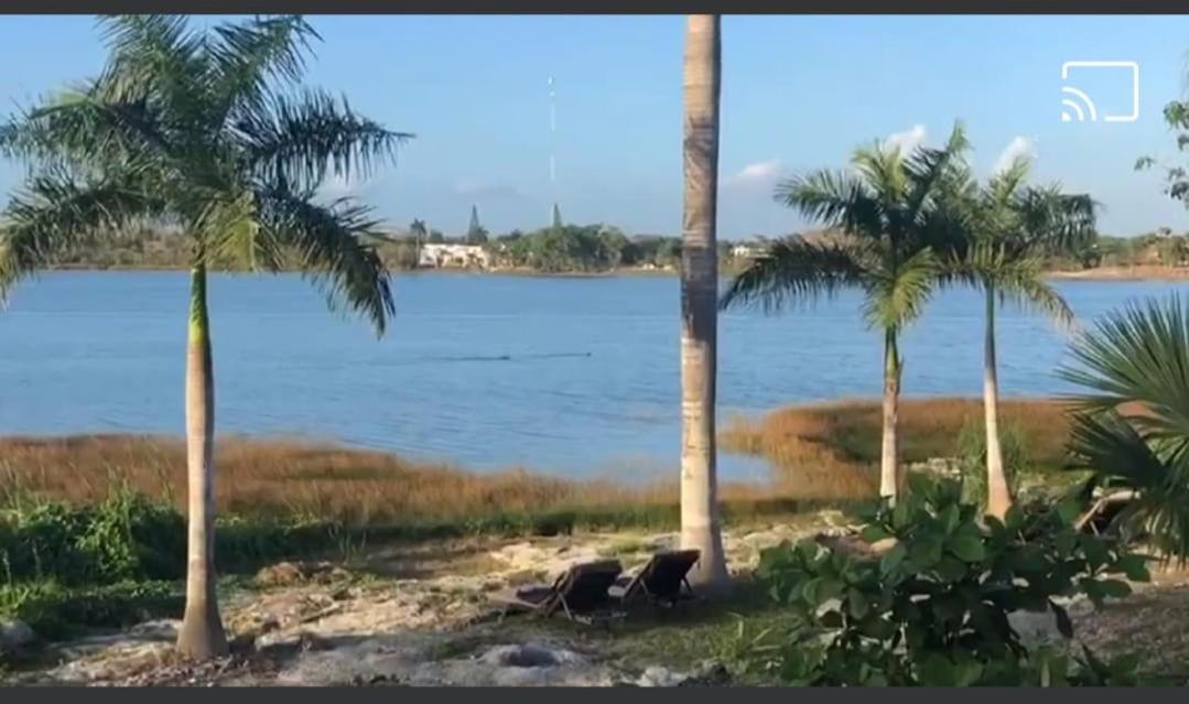Hotel Laguna 科巴 外观 照片